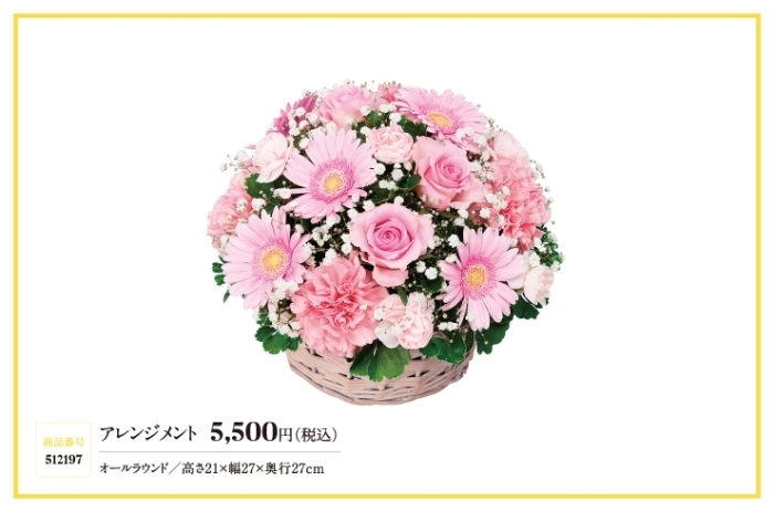 11月の誕生花 ガーベラ 花キューピットでお花じかん まいぷれ 黒部 入善 朝日 11月の誕生花 ガーベラ 花キューピットでお花じかん まいぷれ 黒部 入善 朝日