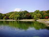 「山田池公園で、かわせみを見つけました！」