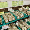 「『種いも』の販売がはじまりました！道の駅木曽福島」