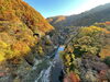 六段橋からの紅葉「11月6日（土）紅葉の様子をお伝えします。【木曽 遊び ｱｸﾃｨﾋﾞﾃｨ― 林鉄バイク E-MTB・MTBレンタル 王滝村】」