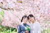 「八重桜が満開です！【江戸川区でこども・ファミリーの出張撮影をしています】」
