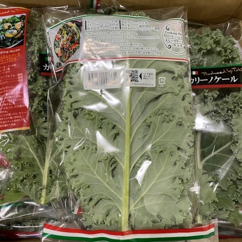 「「カリーノケール」 最近、この野菜を見かける機会が増えていませんか？？」