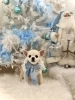 アンちゃん「2025 Merry Xmas🎄」