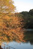 「白旗池の紅葉」