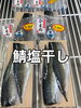 「本日営業致します」