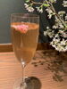桜ロゼスパークリング「3月営業日のお知らせ」