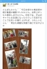 「樟葉宮表道商店会 みっけちゃん取材のはずが、まいぷれ取材されてるよ」