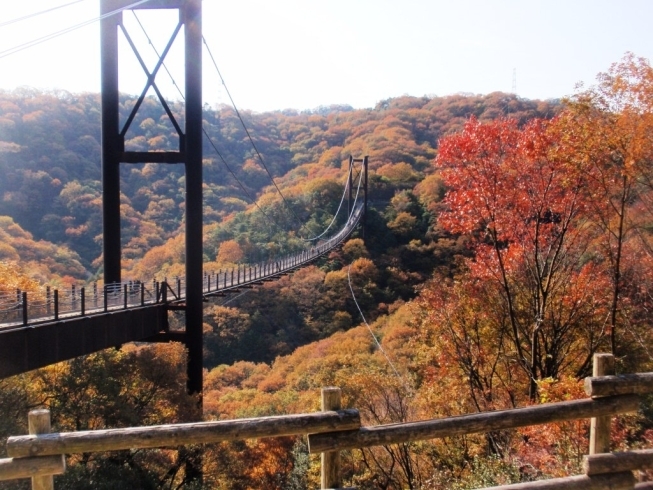 「星のブランコから紅葉が見頃」