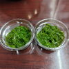 新物メカブ「3月31日のお惣菜」