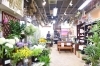 Flower Shop Hana Club 八千代市緑が丘 まいぷれ 八千代市