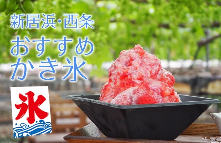 おすすめかき氷21 新居浜市 西条市 新居浜 西条のおすすめグルメまとめ まいぷれ 西条市 おすすめかき氷21 新居浜市 西条市 新居浜 西条のおすすめグルメまとめ まいぷれ 西条市