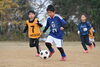 スモールコートゲームで締めるパターンが多いかな「江戸川区・篠崎・小岩の幼児サッカーチーム｜えどそらFCの“1日の流れ”をご紹介」