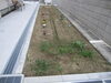 「さあ、いよいよ収穫です！　　高住センター  老人ホーム見学情報　（寝屋川　枚方　交野　守口　門真　大東　四條畷）」