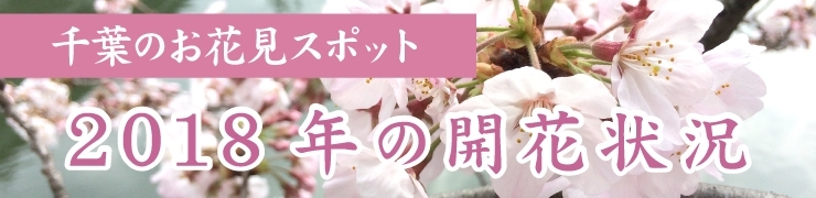 千葉の桜！　2018年開花状況（2018年3月27日～29日）