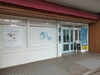 「1Dayジャップカサイ講習で技術と学びをお伝えしています」