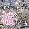 大阪市福島区の桜特集