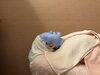 至福のひととき、非日常体験をお届け「一日の終わりにそっと自分をいたわる「夜エステ」のご案内」