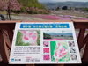 「ゴールデンウィークのお出かけにおすすめ！根小屋地区にある、花と緑と雪の里。」