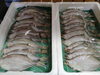 「📣本日のお魚情報🐟」