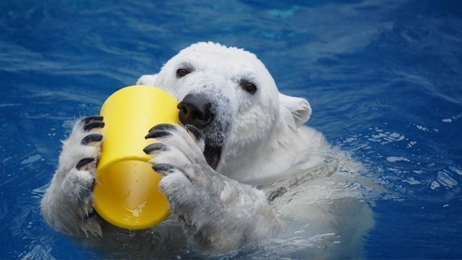 「愛媛県立とべ動物園」大人も楽しめる魅力たっぷり！　西日本屈指の規模を誇る動物園