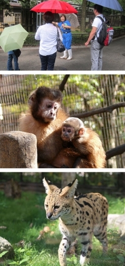 疑問は青いユニフォームの職員にご遠慮なくお尋ねください！「愛媛県立とべ動物園」