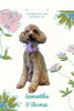 「Dog salon mofu mofu　余市町」