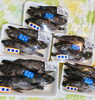 「魚魚市場鮮魚コーナーおすすめは「大分県産養殖あゆ・イサキ」です♪」