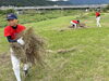「右京少年野球振興会の除草活動に初参加！グラウンドを自分たちの手で守る経験」