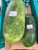 冬瓜「鉾田市産の冬瓜、入荷しています【鉾田市直売所】」