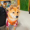 うめちゃん「今日のお友達」