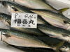 「鮮魚パックいろいろ販売中‼️〆鯖も販売致します🐳」