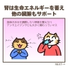 「寒さによる「疲れやすさ」「ダルさ」「頻尿」の原因は？（=^ェ^=) 整体・オイル・リーディング・占い・顔そり・氣功」