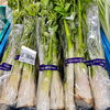 「直売所では旬の山菜が揃ってます！」