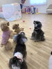 新しいオモチャはみんな好き♡「ましゅまろ幼稚園　Ⅱ」