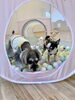 ボールプール大好き「ましゅまろ幼稚園🐾」