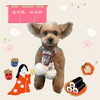 「Dog salon mofu mofu　余市町」