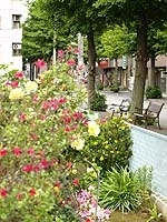 「散歩が楽しい街かど賞」
の花壇とベンチ
