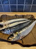 「【津田駅】天然とらふぐ入荷！」