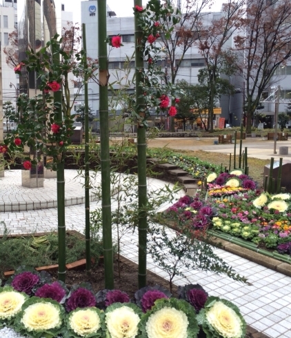 「12月27日 枚方＠岡東町公園、お正月準備できました。竹に椿、素敵ですね。」
