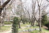 荒巻水辺公園