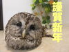 「謹賀新年」