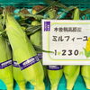 「暑い夏を楽しみましょう！」