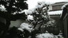 「来週の予約空き☆」