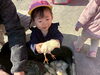 「1日動物園」