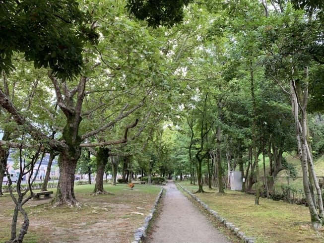 青々とした木々が美しい「◇子連れお出かけスポット情報◇〜西浦南公園〜」