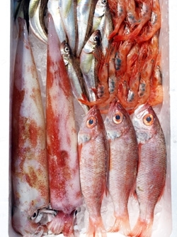 新鮮な魚介の進物
喜ばれますよ！！「松江鮮魚店」