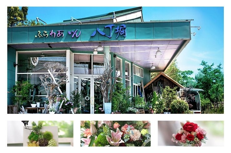 徳島市 まいぷれ