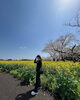 「西都花祭り」