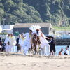 9月の祭礼情報