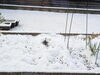 我が家の庭も雪だらけ「2月スタート！」